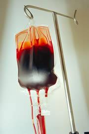 blood 2