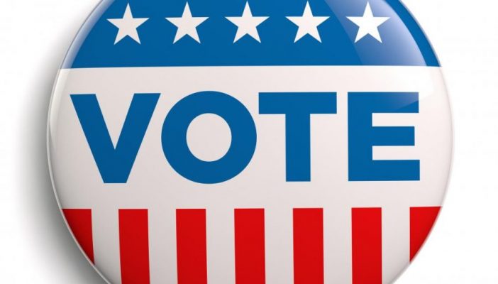 The US Mid-Term Elections - CultureWatch