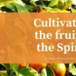 fruit of spirit
